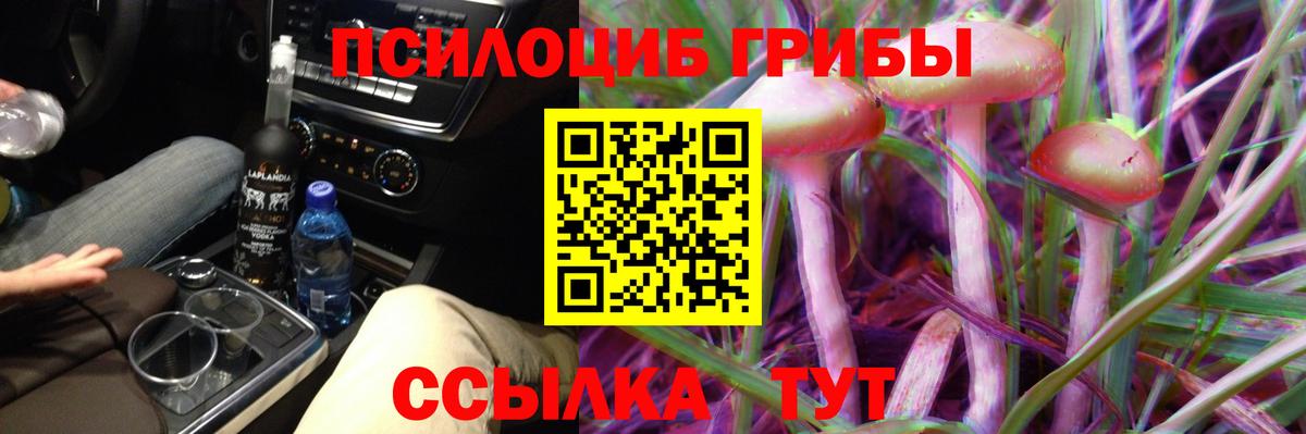 Псилоцибиновые грибы мицелий  Вход с VPN  Заволжье 